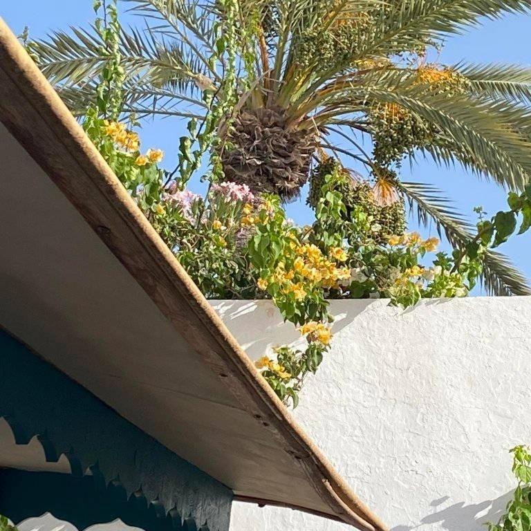 미던 Djerbahouch 빌라 외부 사진